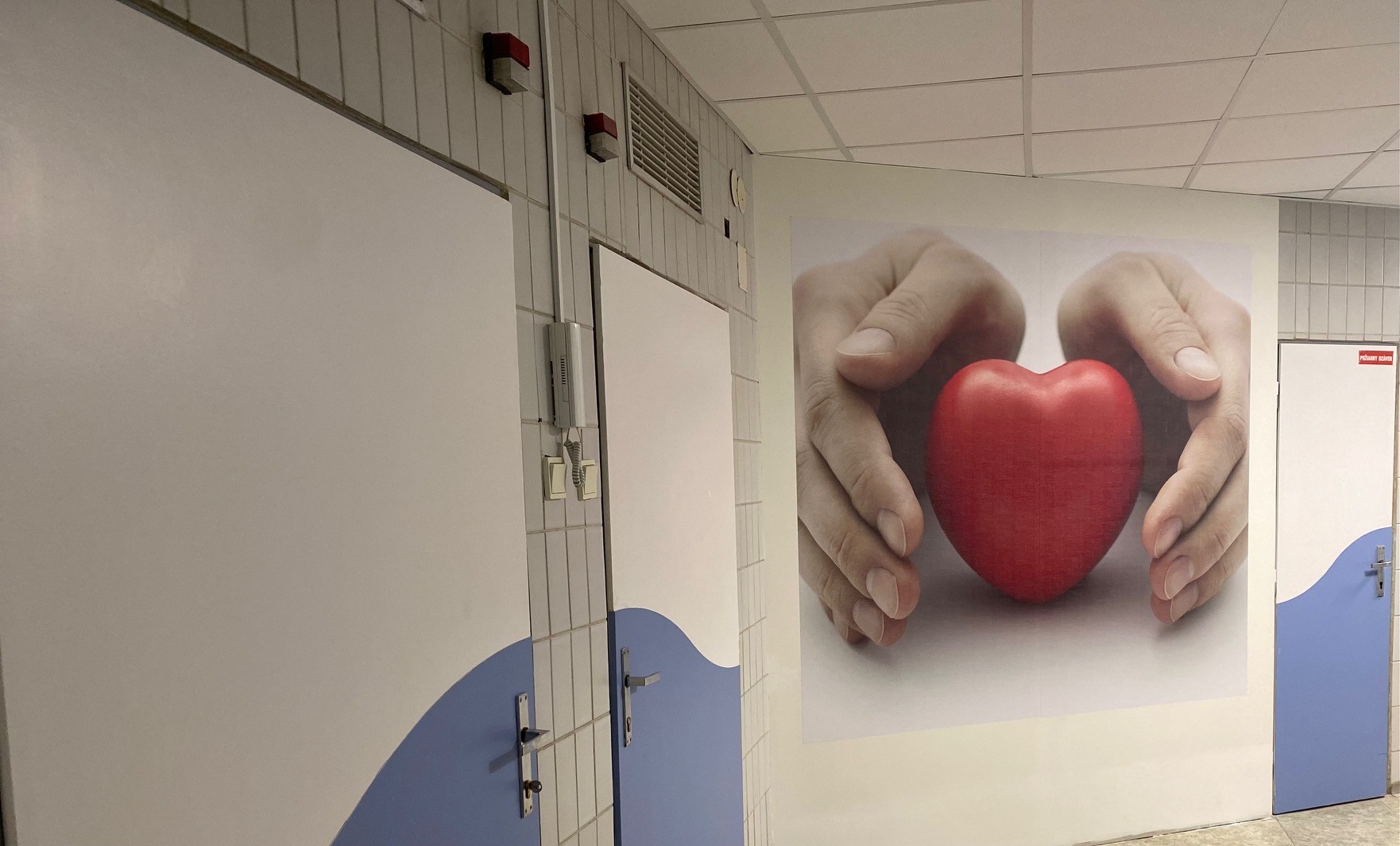 Dôrazne sa ohradzujeme voči medializovaným informáciám